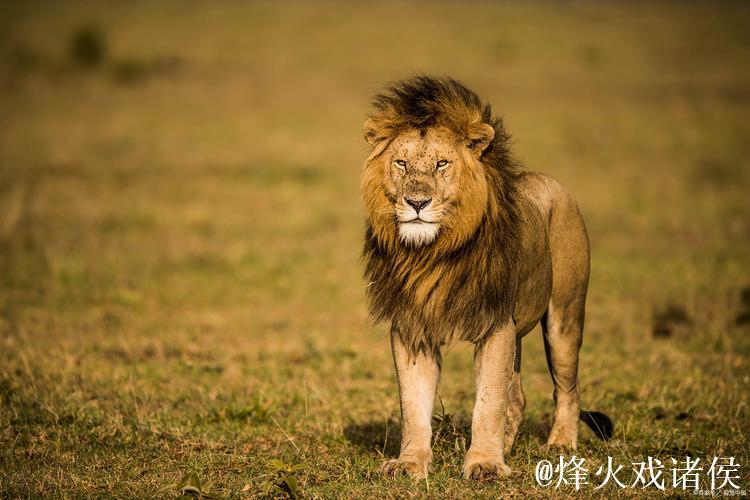 马杜埃凯：伤病困扰已久，今日终获回报